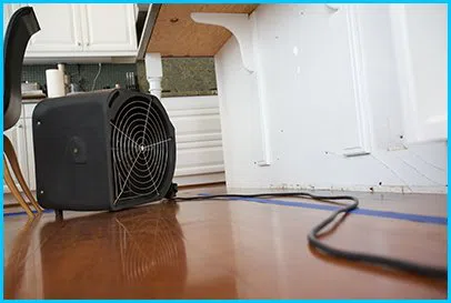 Hollywood Emergency Restoration Hollywood, FL 954-416-2691 Hollywood Emergency Restoration Hollywood, FL 954-416-2691 - city-img-6